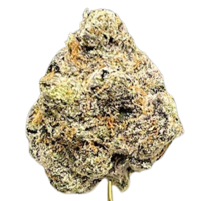 BIG PERM *EXOTIC SPECIAL*