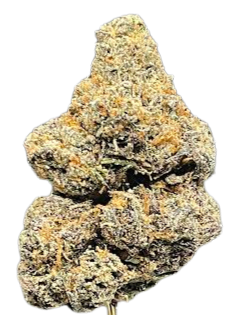 red_velvet_gastro_pop_oz