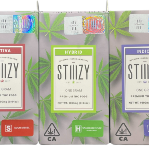 stizzy_pod