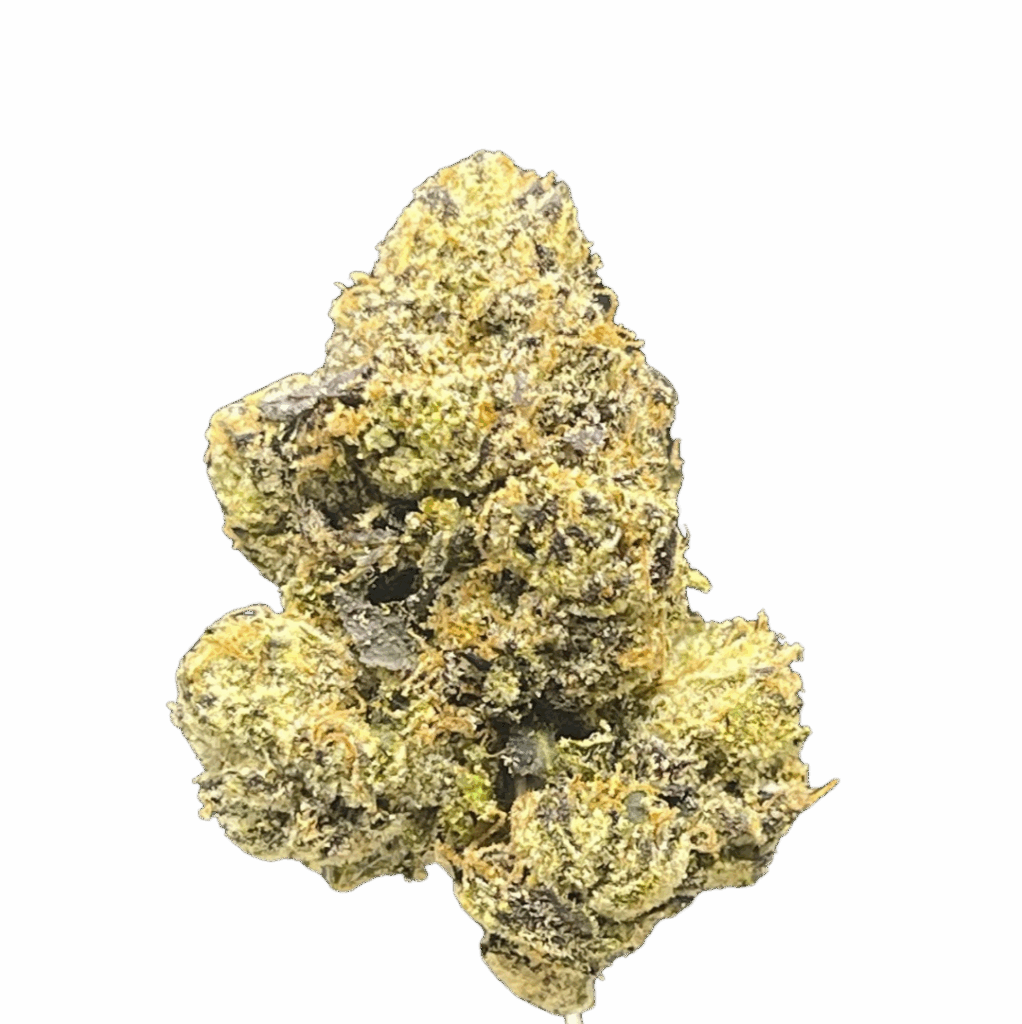 BLUEBERRY DREAM