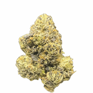 BLUEBERRY DREAM