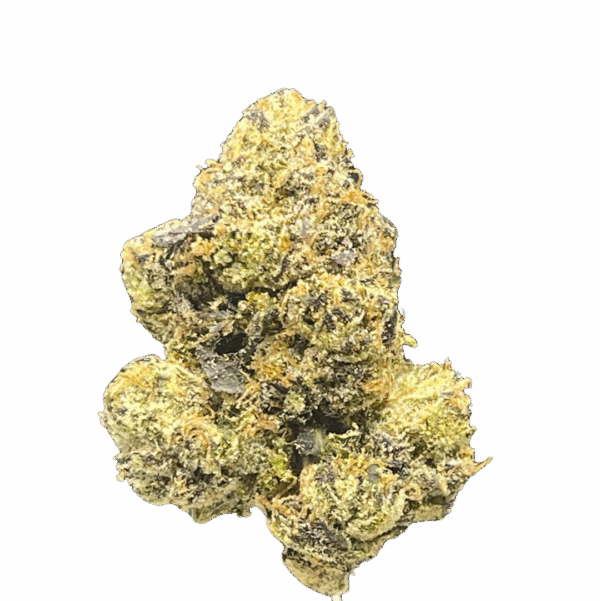 BLUEBERRY DREAM