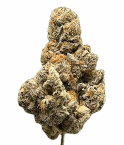 CLEMENTINE  OZ