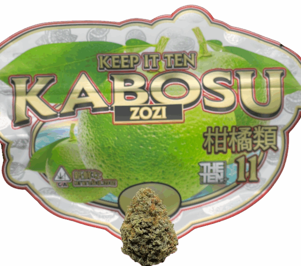 KABOSU THE TEN CO.