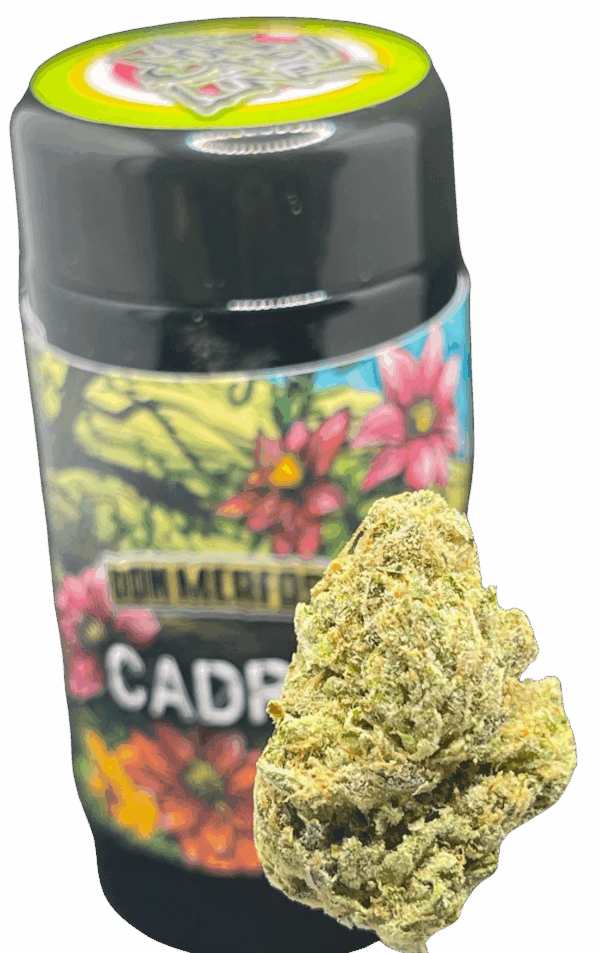 OZ KUSH X LEMON TREE DON MERFOS 7G JAR