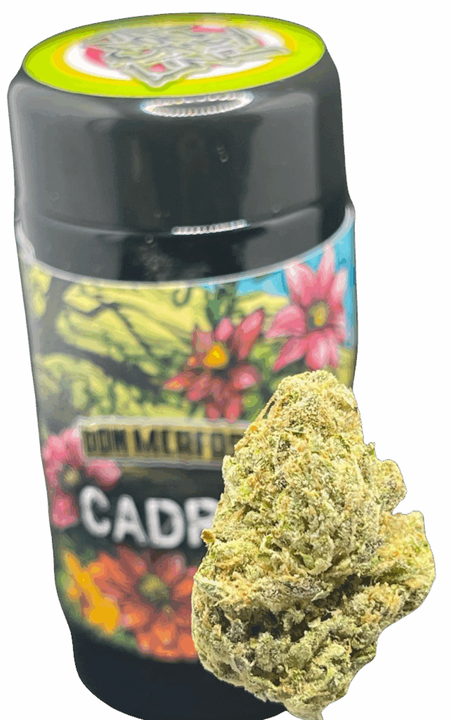 KUSH X LEMON TREE DON MERFOSJAR