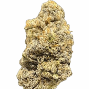 ZOOKIES