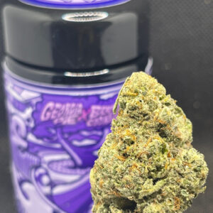 GEORGIA PIE X BLUE COOKIES  DON MERFOS 7G JAR