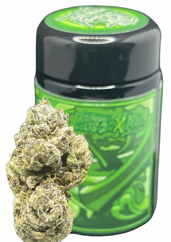 RAINBOW BELTS 2.0 X A.D.L.  DON MERFOS 7G JAR