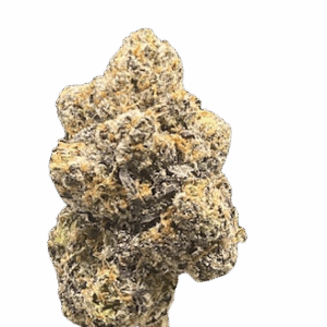 BLUE MAGOO