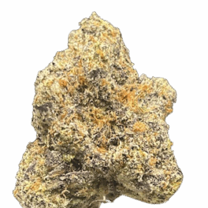 BUBBLICIOUS