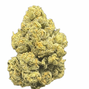 CHARLIE SHEEN  OZ