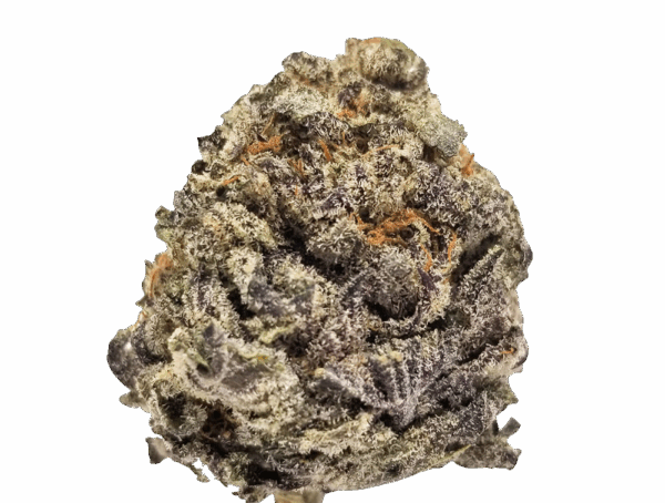 BACIO GELATO