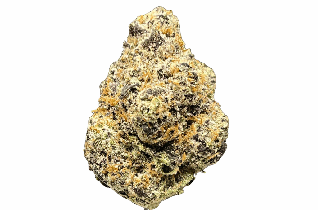 BACIO GELATO