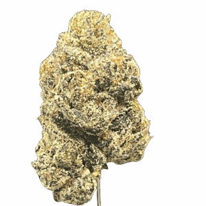 BONKERZ
