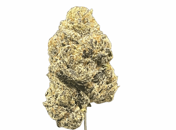 BONKERZ