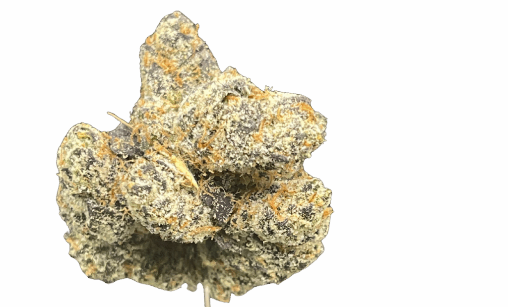 GOBBSTOPPER