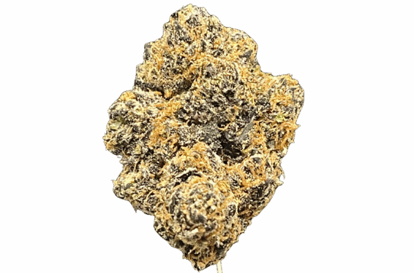 MARIONBERRY KUSH