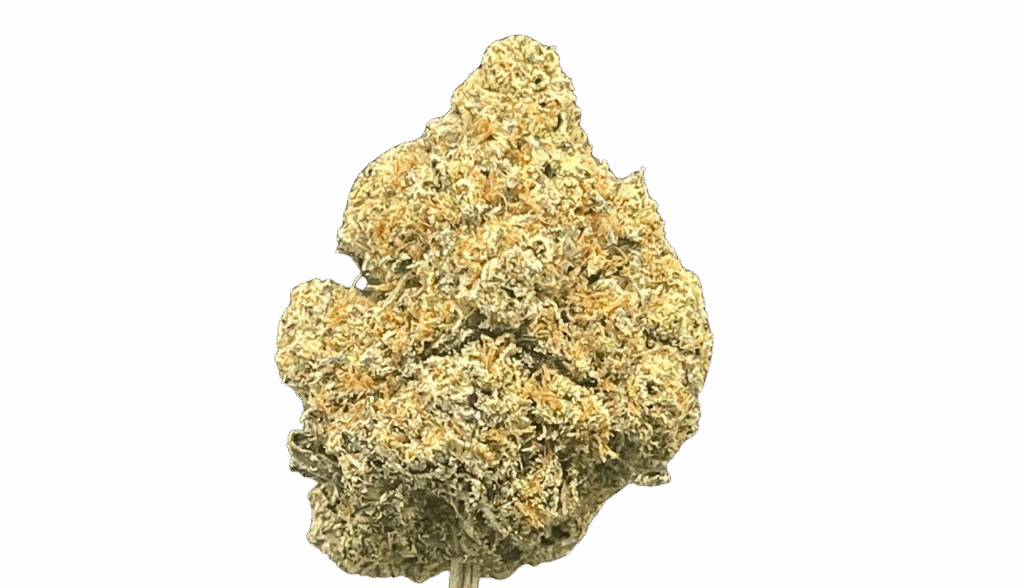 EL CHAPO