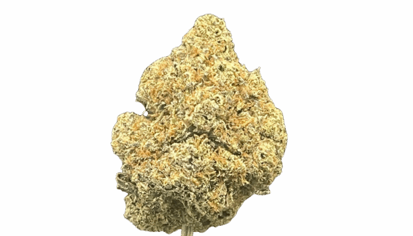 EL CHAPO