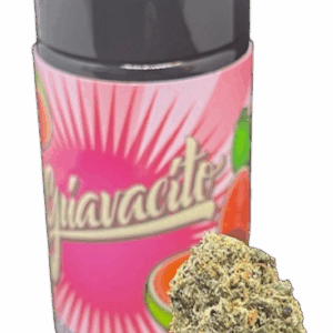 GUAVACITO  MAJOR LEAGUE EXOTICS