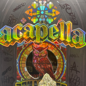 ACAPELLA DON MERFOS
