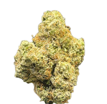 ALASKAN THUNDER FUCK OZ