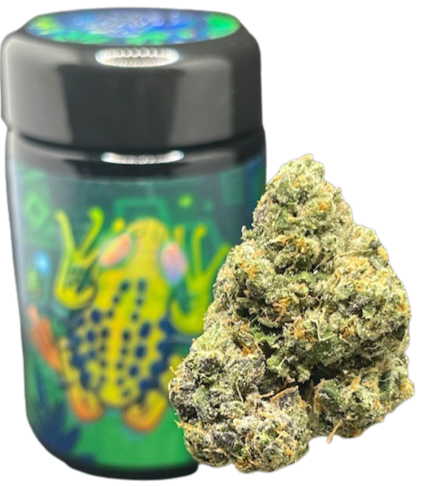 FROG POISON NB GARDENS X MERFOS