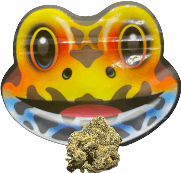 FROG POISON  CUTRIGHT X NB GARDENS