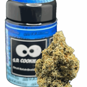 DUNKAROOS S.D COOKIE JAR