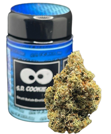 DUNKAROOS S.D COOKIE JAR