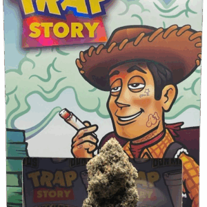 TRAP STORY DON MERFOS