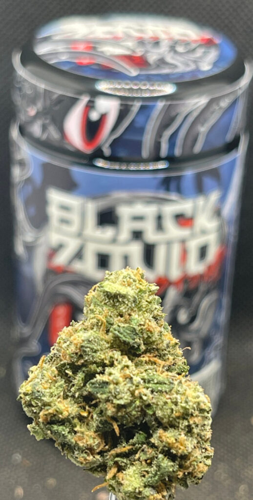 BLACK ZQUID THE TEN CO.