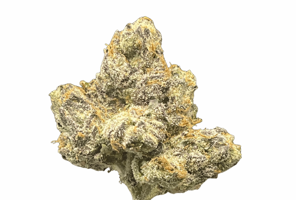 WHITE TRUFFLE