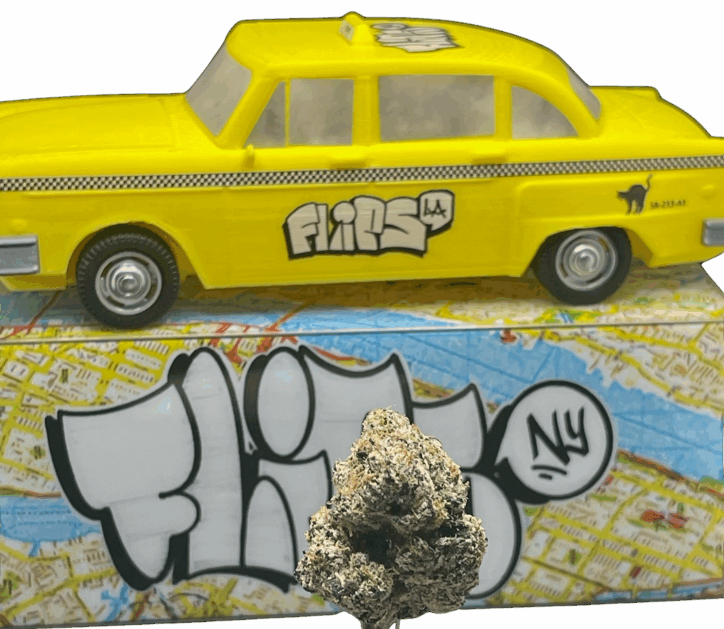 FLIPS NY