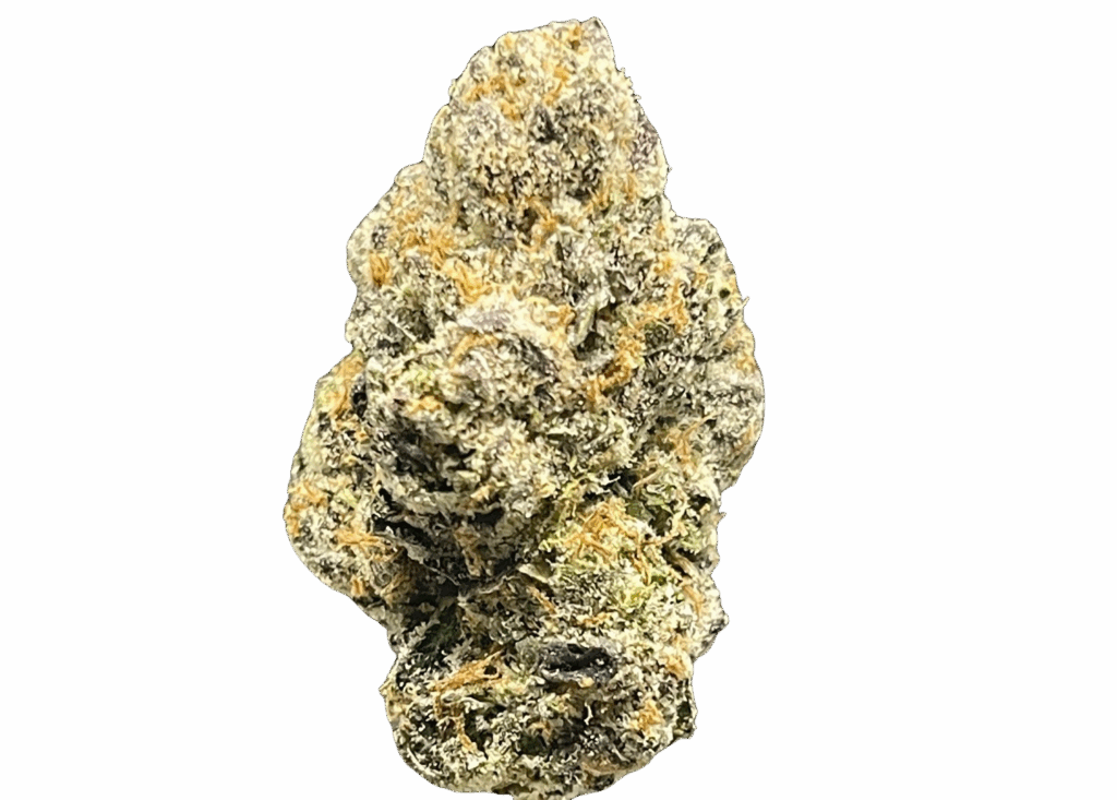 SCOOBY SNACKS