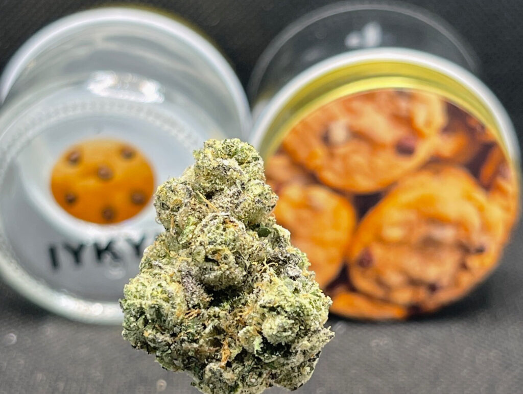 GIRL SCOUT COOKIES IYKYK