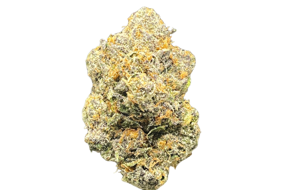 JILLY BEAN