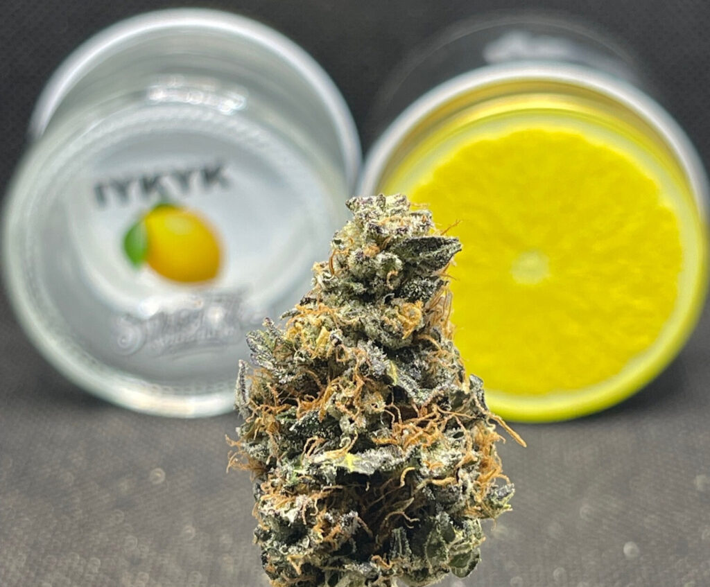LEMON UP IYKYK