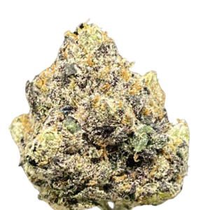 BLACK RUSSIAN  OZ
