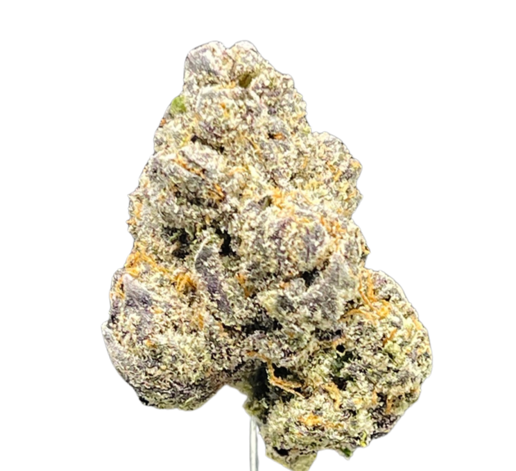 BLACK RUSSIAN