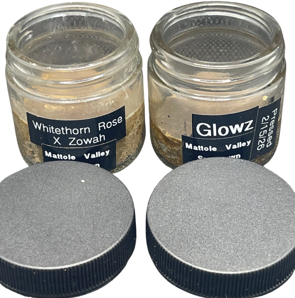 NEW* PREMIUM HASHISH