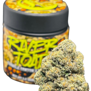 RIVER TOAD  NB GARDENS