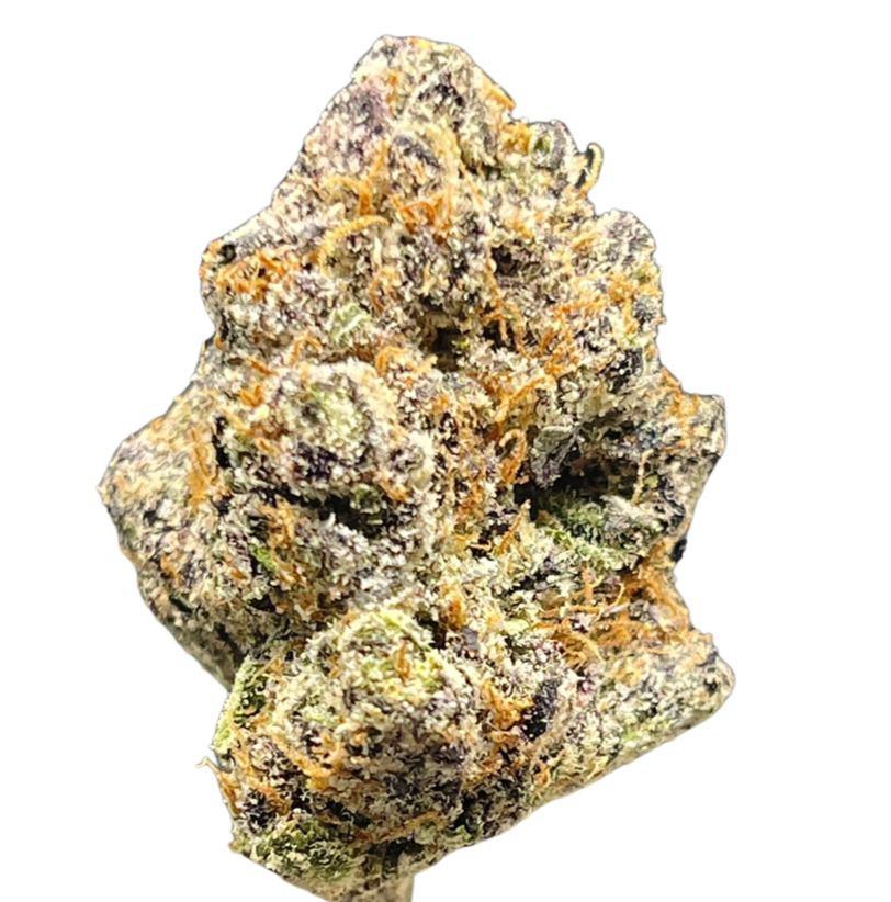 BLACK MAMBA