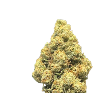 G-13