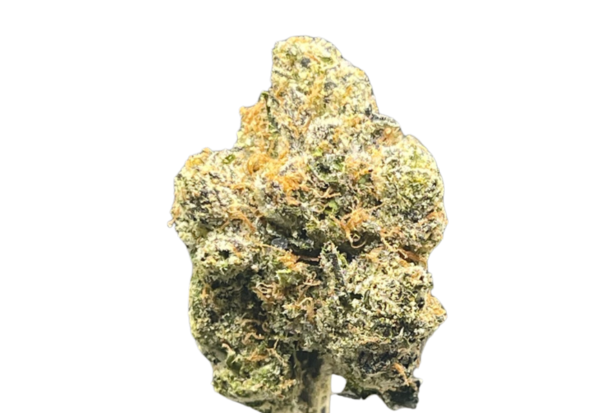 TUTTI FRUTTI