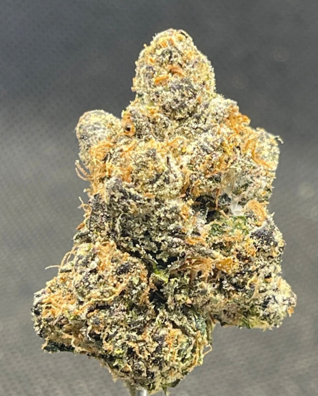 F1 DURBAN  OZ